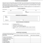 Albany Medical Center Medical Records Release Form Fill Online
