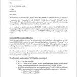 Angel Investor Proposal Template Letter Of Intent Proposal Templates