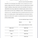 Auto Accident Liability Waiver Form Form Resume Examples JxDNKxw5N6