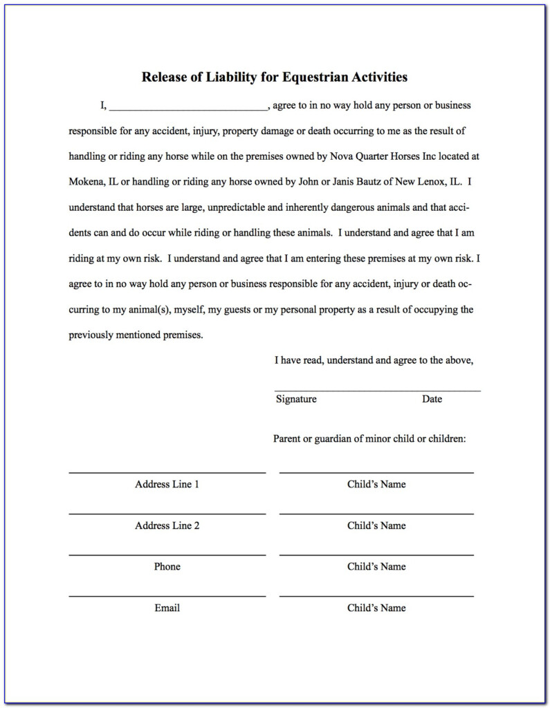 Auto Accident Liability Waiver Form Form Resume Examples JxDNKxw5N6