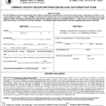 Form DSSP256 Download Fillable PDF Or Fill Online Criminal History