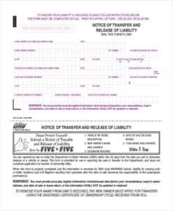 FREE 11 Sample Release Of Liability Forms In PDF MS Word