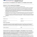 FREE 14 Medical Authorization Forms In PDF MS Word Excel