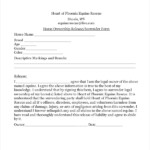 FREE 7 Sample Equine Release Forms In MS Word PDF