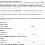 Free California Medical Consent And Release Form For Minor Child PDF