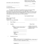 Informal Estate Accounting Form Nj Fill Online Printable Fillable