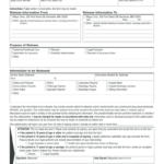 Mayo Clinic Record Pdf Fill Out And Sign Printable PDF Template SignNow