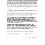 McCall Mixed Martial Arts Liability Waiver Form Fill And Sign