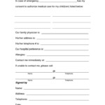 Medical Release Form For Grandparents Free Templates Free Printable