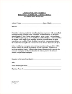 Medical Release Form For Grandparents Template Business