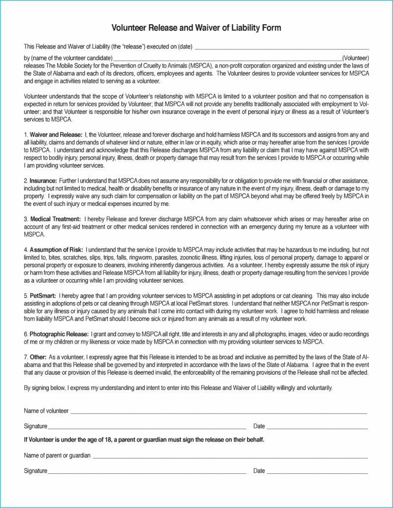 Ohio Equine Liability Release Form Form Resume Examples 7NYA01bO9p