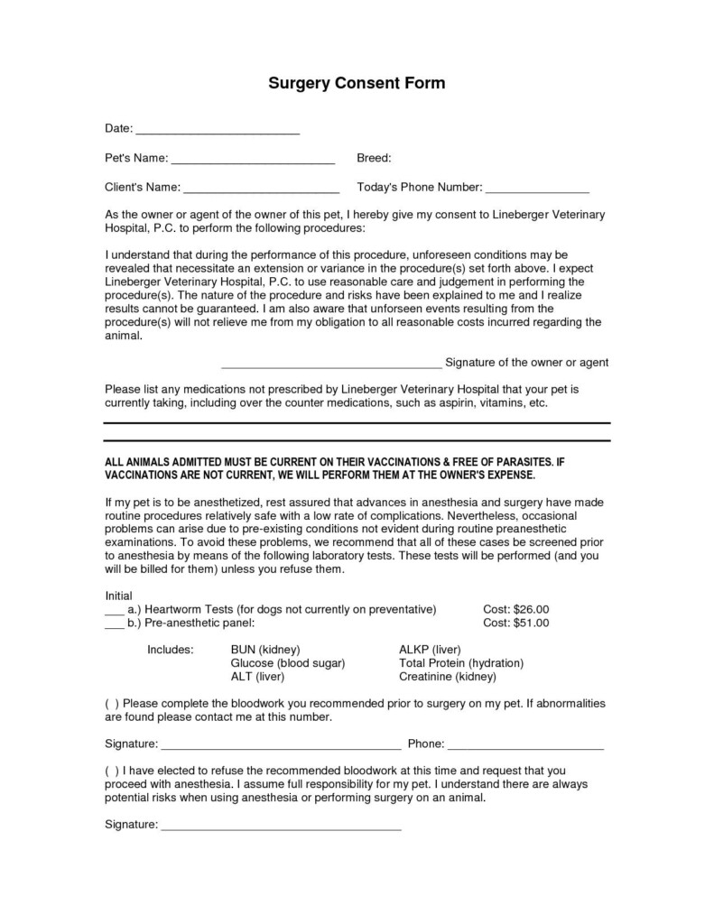 Surgical Consent Form Template Best Of Surgery Consent Forms Templates 