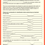 10 Best Printable Babysitter Medical Release Form Printablee