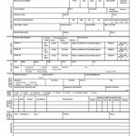 Arrest Report Template Fill Online Printable Fillable Throughout