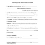 FREE 10 Minor Photo Release Forms In PDF MS Word