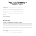 FREE 27 Sample Medical Release Forms In PDF Excel MS Word