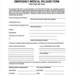 FREE 32 Medical Release Forms In PDF Excel MS Word