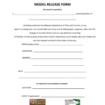 Free Model Release Form Template Printable Templates