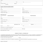 Free Texas Medical Release Form For Adult PDF 39KB 1 Page s