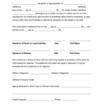 Grandparent Medical Consent Form Fill Out Sign Online DocHub