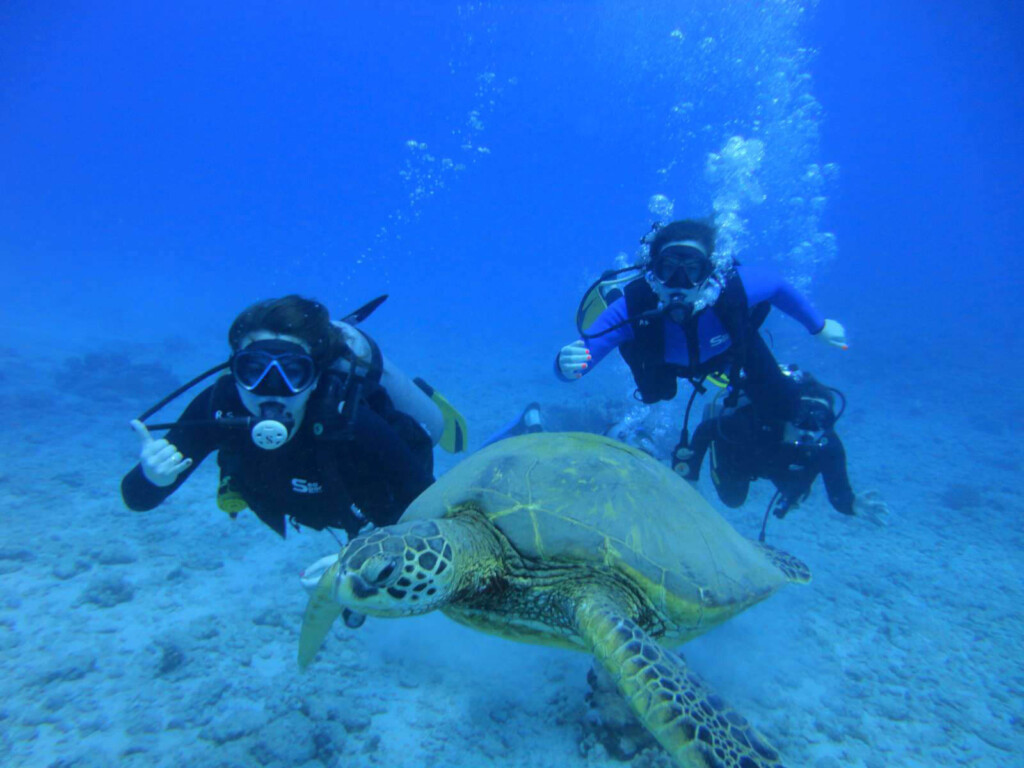 Hawaii Scuba Diving Guide Dive