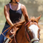 Horseback Riding Or Equine Liability Waiver And Release Form WaiverSign