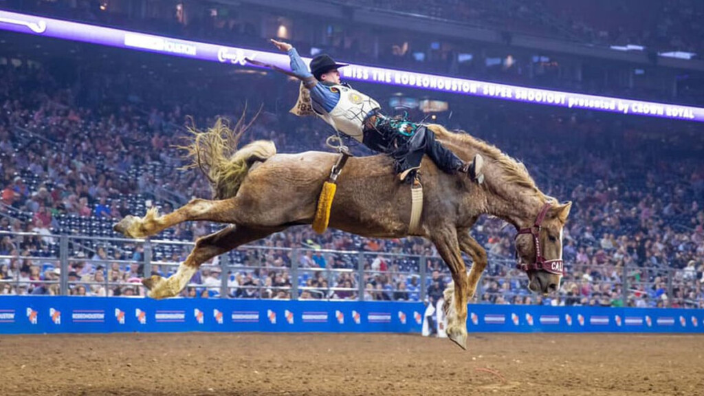 Houston Livestock Show And Rodeo Cancel Rescheduled 2021 Rodeo