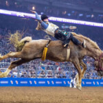 Houston Livestock Show And Rodeo Cancel Rescheduled 2021 Rodeo