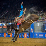 Houston Livestock Show And Rodeo HLSR SilverKris