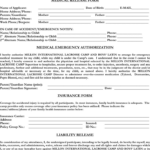 Maryland Medical Release Form Download Free Printable Blank Legal