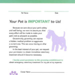 Modern General Pet Release Form Barkleigh Store Dog Grooming Shop