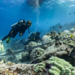 My First Hawaii Scuba Dive Kona Honu Divers