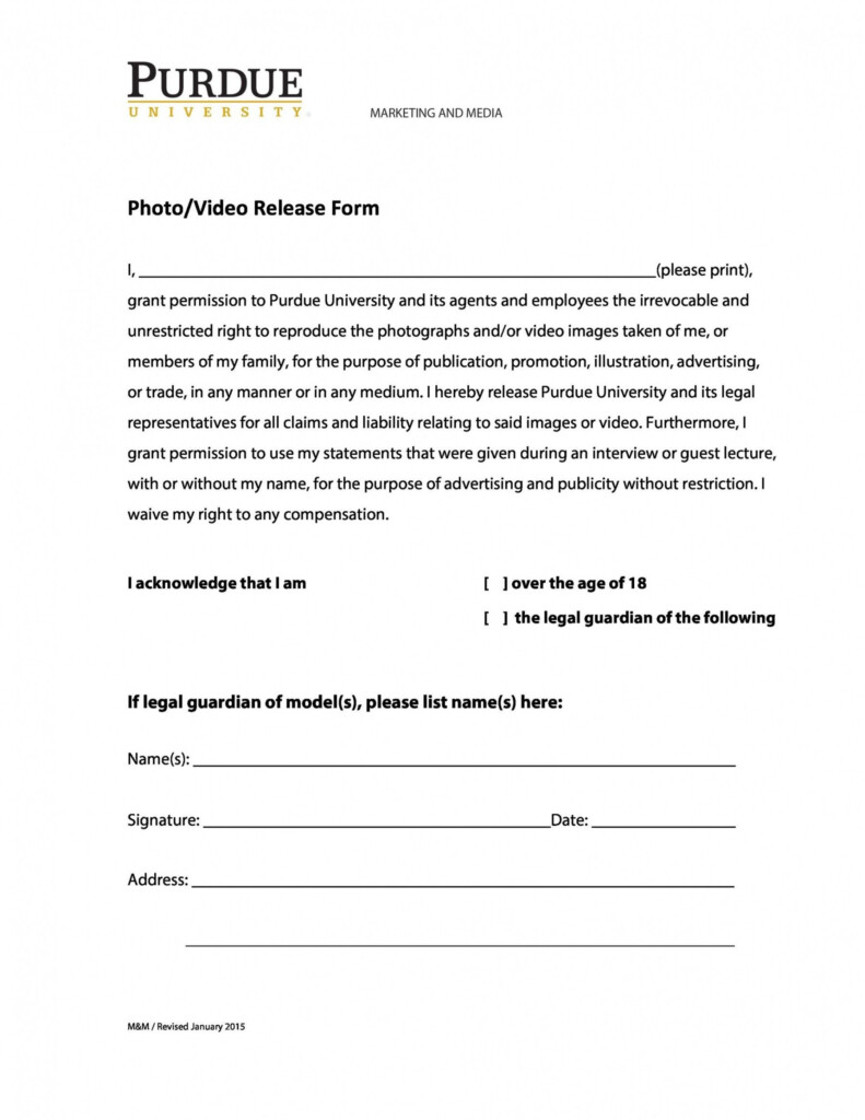 Professional Media Release Form Template Pdf Example In 2021 Form 