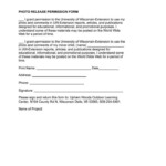 Sample Authorization Letter For Child Consent Use Business Name Process