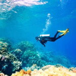 Scuba Diving In Hawaii A Complete Guide 2023